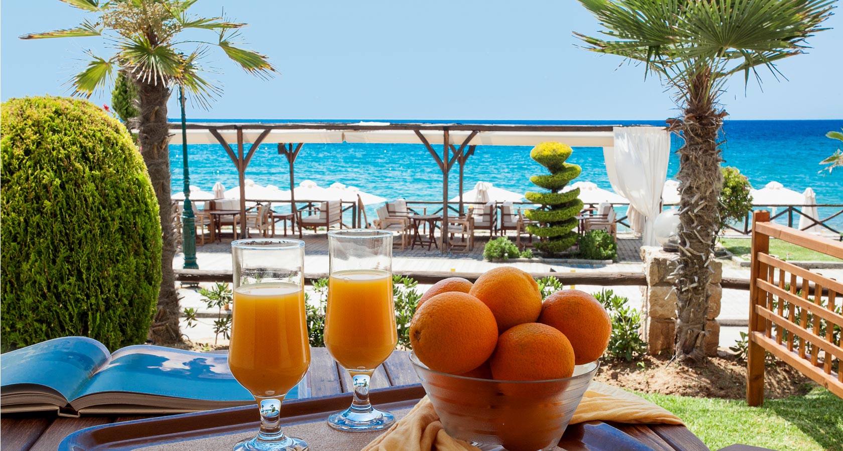 Enjoy your favorite refreshment, juice or drink overlooking the sea